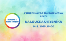 Vstupenka na lekci pro sourozence