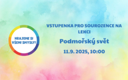 Vstupenka na lekci pro sourozence